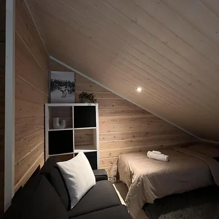 Σπίτι διακοπών A Cozy Apartment In Levi
