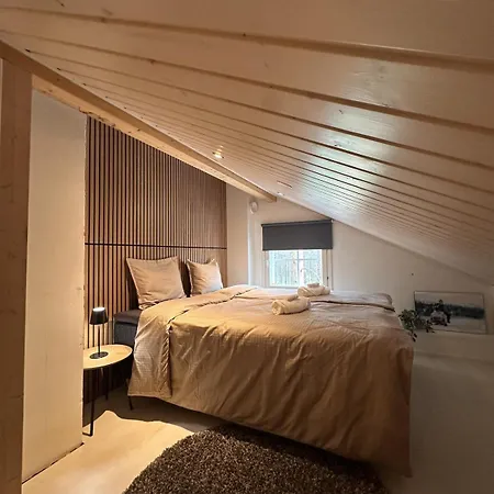 A Cozy Apartment In Levi * Levi