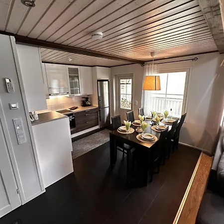 A Cozy Apartment In Levi Levi