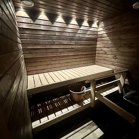 A Cozy Apartment In Levi Levi